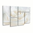 thumbnail image 2 of Trademark Fine Art 'Pure White Rose' Canvas Art by Cora Niele, 2 of 4