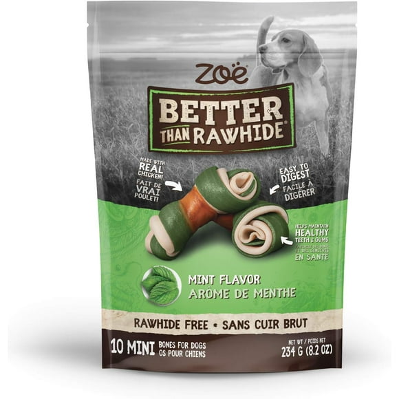 Better Than Rawhide Bones for Dogs - Mini, Mint Flavor, 8.2 oz (Pack of 1)