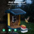 thumbnail image 4 of Comedero para aves Nafnti con cámara 2K, 1,8 L, solar y captura con IA, 4 of 7