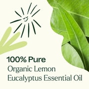 Plant Therapy Organic Lemon Eucalyptus Essential Oil 100% Pure, USDA Certified Organic, Undiluted, Natural Aromatherapy 30 mL (1 oz)