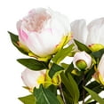 thumbnail image 2 of Vickerman 23" Artificial Cream and Pink Peony Bush., 2 of 7