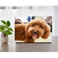 thumbnail image 4 of KSK KAISHEK Hard Case Only Compatible New MacBook Air 13 inchs( Retina Display, 2022/2021/2020/2019/2018) Model A1932 A2179 A2337 m1, USB Type-C Animal A 0177, 4 of 5