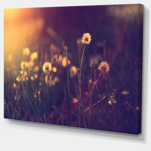 Designart - Vintage Dandelion Meadow Photo - Large Floral Canvas Art Print