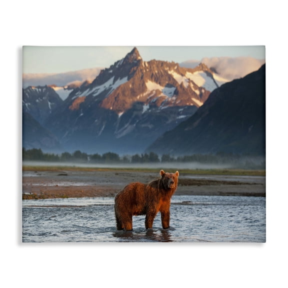 Stupell Industries Farmhouse Grizzly Bear Standing in Salmon Stream Canvas Art, 20 x 16, by Paul Souders / DanitaDelimont.com