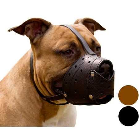 UPC: 0658700966456 | Pit Bull PitBull Terrier Secure Basket Dog Muzzle Genuine Leather Staffordshire Terrier  Black