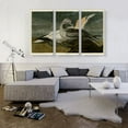 thumbnail image 2 of ARTCANVAS Gannet Canvas Art Print by John James Audubon - Size: 60" x 40" (1.50" Deep) (3-Piece), 2 of 9