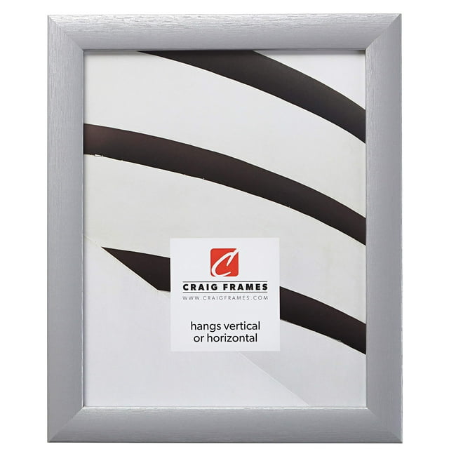 Craig Frames Cadre Photo Contemporain 9 x 12 Pouces Argent Brossé
