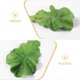 thumbnail image 3 of Clip Vegetable Hairpin Realistic Cabbage Costume Headpiece Spa Face Wash Hairband Novelty Dress Up Hair Accessories Funny Hat, 3 of 5