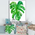 thumbnail image 2 of Designart 'Close Up Of Tropical Leaf Of Monstera I' Farmhouse Framed Canvas Wall Art Print, 2 of 5