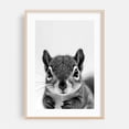 thumbnail image 2 of Baby Squirrel - Photography Animal Wildlife Black and White Nature Portrait Minimalist Woodland Unframed Wall Art Print 4 x 6 inches, 2 of 60