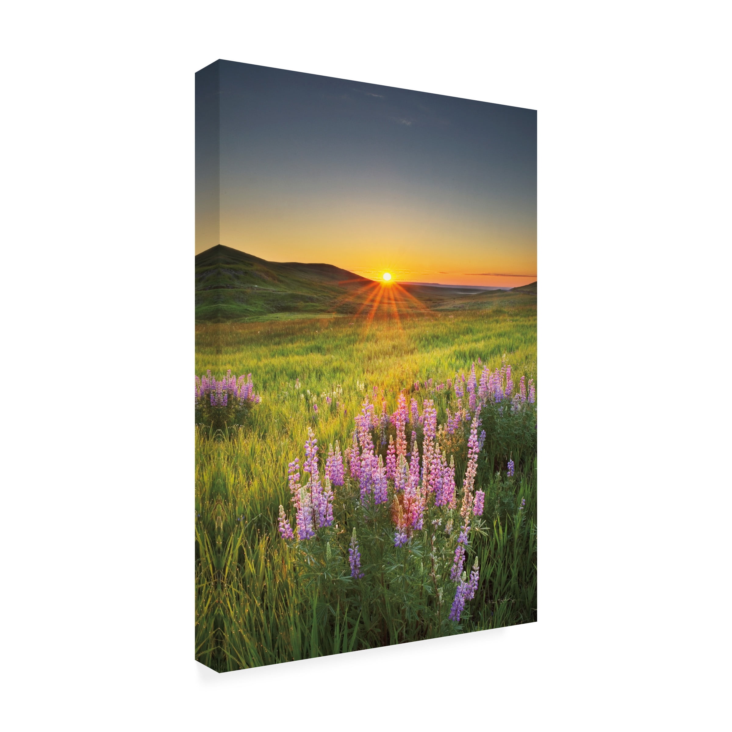 Alan Majchrowicz 'Prairie Sunrise' Canvas Art