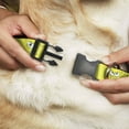 thumbnail image 2 of Nickelodeon Pet Collar, Dog Collar Plastic Buckle, Spongebob Expressions Yellow, 8.5 to 12 Inches 0.5 Inch Wide, 2 of 6