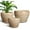 Yellow, variant on Stillaflora 3 Set Large Blue Ceramic Plant Pots with Drainage for Plant Lovers