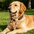 thumbnail image 3 of TYShandao Pet Collars with Customizable Names, 3 of 4
