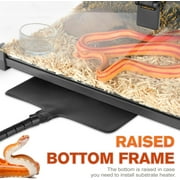 NEPTONION Mini Reptile Glass Terrarium 12'' x 8'' x 6'' For Small Reptile with Feeding Slot & Lock