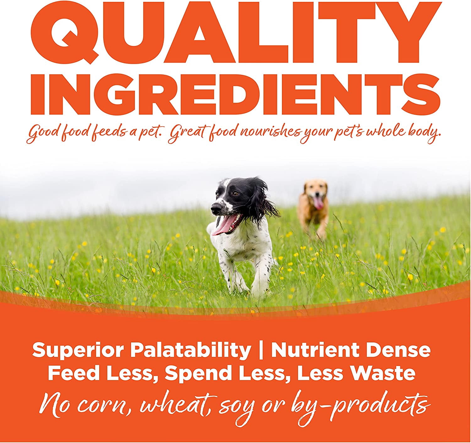 NutriSource Performance Dry Dog Food, Chicken and Rice, 40LB