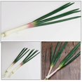 thumbnail image 2 of Simulated Scallion Model Lifelike Fake Scallions Veggie Model Fake Vegetable Prop, 2 of 4