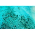 thumbnail image 2 of Wall, David 32x23 White Modern Wood Framed Museum Art Print Titled - Reef-kayakers and paddle boarders-Muri Lagoon-Rarotonga-Cook Islands-South Pacific, 2 of 4
