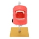 thumbnail image 2 of Modelo De Dientes De Enseñanza Dental, Soporte De Modelo De Dientes Resistente A La Abrasión De Metal Para Estudiantes Para La Escuela, 2 of 7