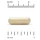 thumbnail image 3 of Suplemento Super Nutrition de ácido alfa lipoico 600 mg 60 cápsulas, 3 of 4