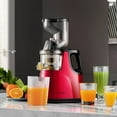 OverTwice Slow Masticating Juicer Cold Press Juice Extractor Apple