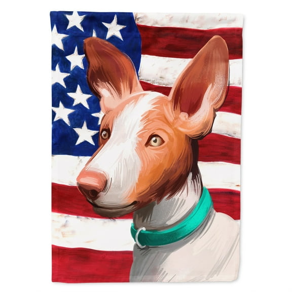 Carolines Treasures CK6565CHF Ibizan Hound Dog American Canvas House Size Outdoor-Flags, Multicolor