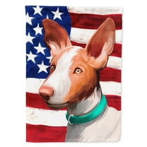Carolines Treasures CK6565CHF Ibizan Hound Dog American Canvas House Size Outdoor-Flags, Multicolor