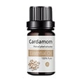 thumbnail image 2 of Aceite corporal con aceites esenciales 10ml. Aceite hidratante para masajes. Fragancias relajantes. Aceite nutritivo para todo el cuerpo., 2 of 8