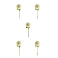thumbnail image 3 of Baohd 1/2/3/5 10pack/lot Realistic Appearance Artificial Flower For Party Decor And Home Decor Light Green 5PCS, 3 of 6