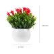 thumbnail image 4 of Planta artificial en maceta Planta artificial en maceta Decoración Bonsái falso, 4 of 5