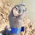 thumbnail image 3 of Guante Guantes de malla metálica Manopla de seguridad a prueba de puñaladas Reparación de alambre Suministros de protección para las manos, 25,5 cm Advancent  JJ14600-02B, 3 of 7