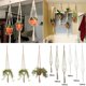 thumbnail image 1 of Flower Pot Hemp Rope Hanging Net Straw Macrame Handmade Plant Hanger Flower Pot Garden Holder Hanging Rope Basket Balcony Decor2 He Qiyong unisex, 1 of 1
