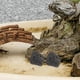 thumbnail image 4 of 1 bolsa de rocas volcánicas para pecera, pequeñas piedras naturales, decoraciones, plantas en macetas, rocas volcánicas, 4 of 5