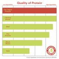 thumbnail image 5 of Zhou Nutrition Plant Complete Chocolate Protein | Easy to Digest | Muscle Recovery | 16 Servings, 5 of 6