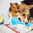 thumbnail image 2 of Pet Chew Toy Rubber Dumbbell Interactive Dog Sound Toy Dog Teething Toy, 2 of 9