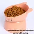 thumbnail image 3 of ACDANC 2Pcs Elevated Cat Bowls,Non-Slip Cat Bowls,Large Capacity Cat Food Container,Green, 3 of 6