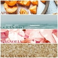 thumbnail image 2 of NAUTICA FRENCH SAIL par NAUTICA, 2 of 3