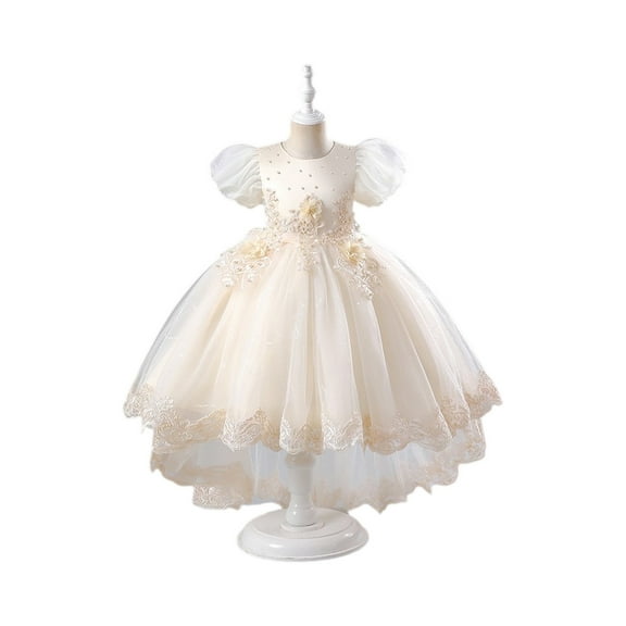 Girls Elegant Princess Party Dress Embroidered Lace Tulle Gown for Birthday Wedding Formal Wear