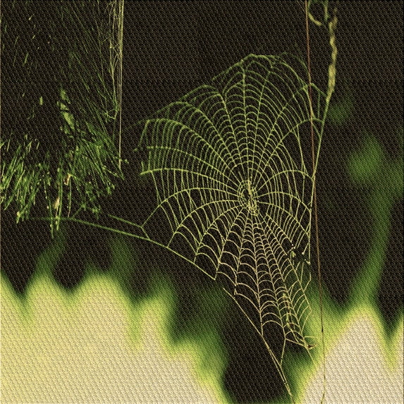 Ahgly Company Indoor Square Patterned Midnight Gray Area Rugs, 5' Square