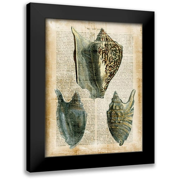 Vision Studio 12x14 Black Modern Framed Museum Art Print Titled - Small Antiquarian Seashells I