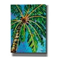 thumbnail image 1 of Epic Graffiti 'Under the Palms I' by Carolee Vitaletti, Canvas Wall Art, 40"x54", 1 of 3