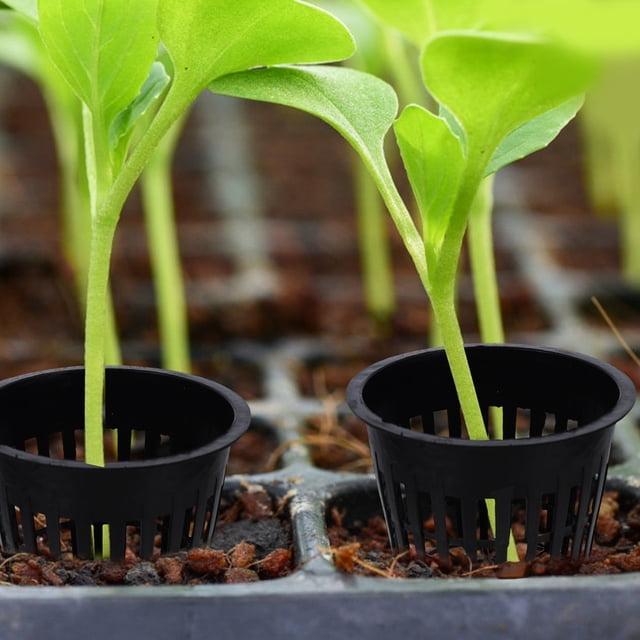 WRITWAA 5Ud Canastas De Plástico Para Cultivo Hidropónico Con Malla Ranurada Color Negro