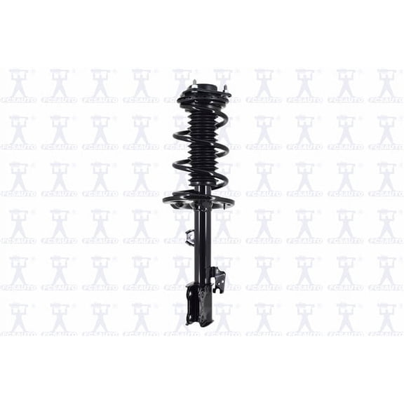 Suspension Strut and Coil Spring Assembly