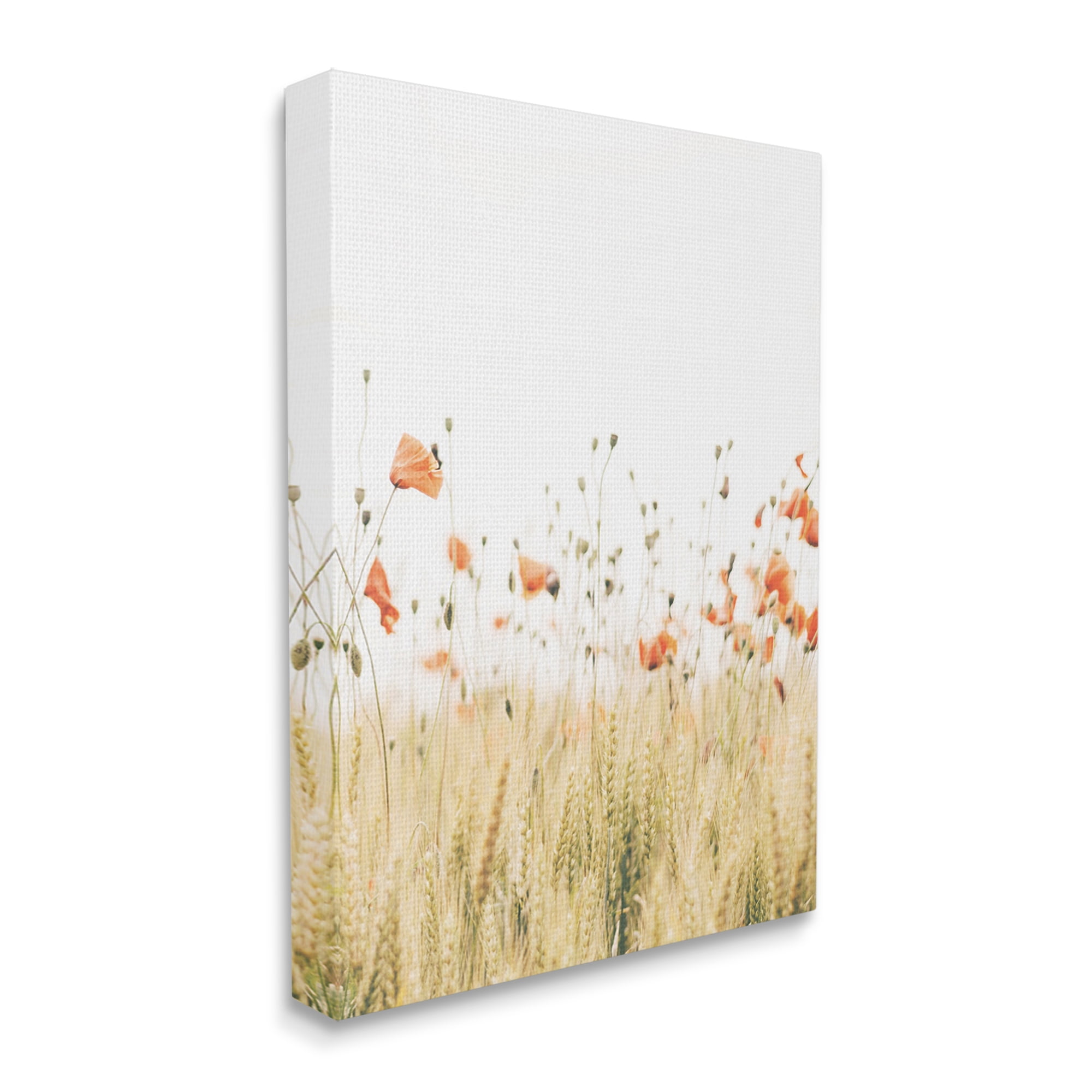 Stupell Industries Rural Poppy Meadow Botanical & Floral Photography Gallery Wrapped Canvas Art Print Wall Art, 36 x 48