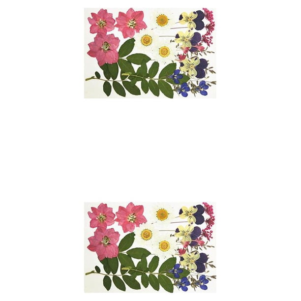 Calcomanía de flores secas Injueey Hermosa Artesanía Tipo 6 2Conjunto