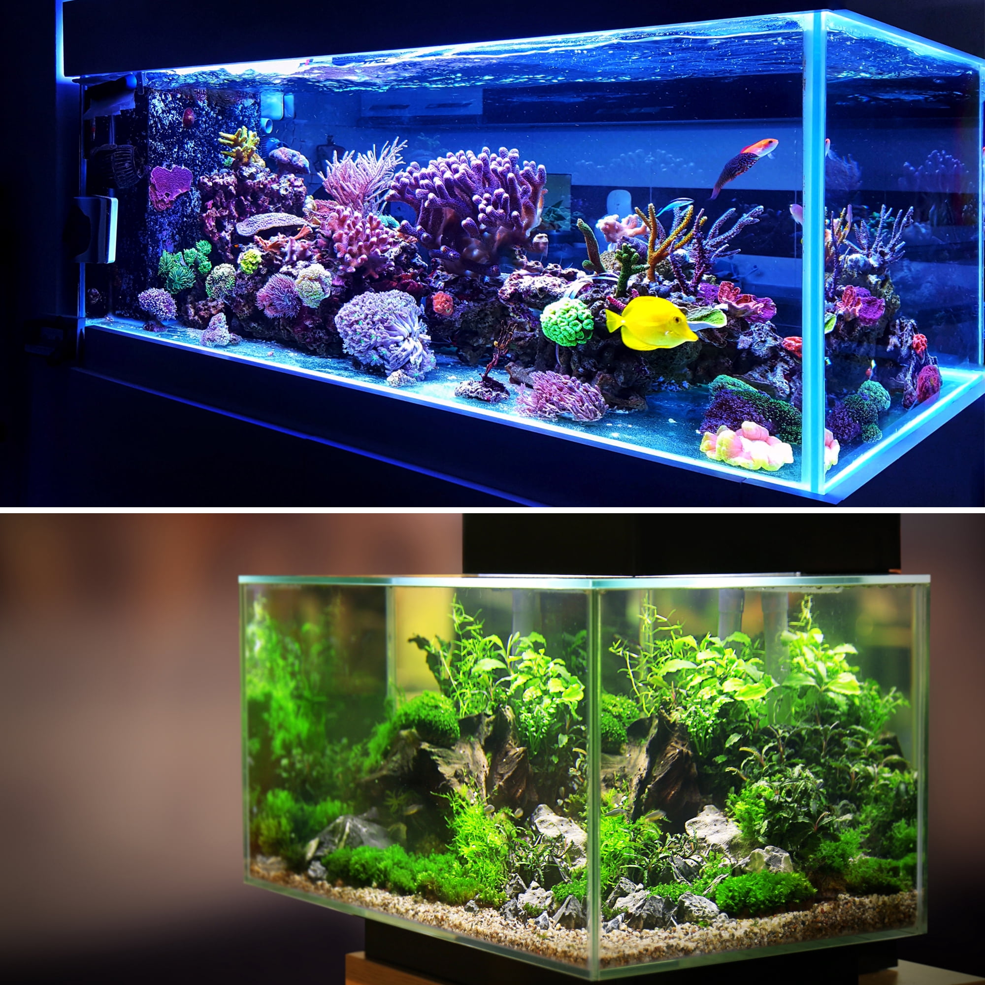 Unique Bargains 1pcs Fish Tank Aquarium Decorations Plants White Purple 10.24" Plastic Plants for Aquarium Decor