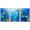 WHITE, variant on wall26 - 3 Piece Framed Canvas Wall Art - Photo of a Tropical Fish on a Coral Reef - Modern Home Art Stretched and Framed Ready to Hang - 16"x24"x3 WHITE