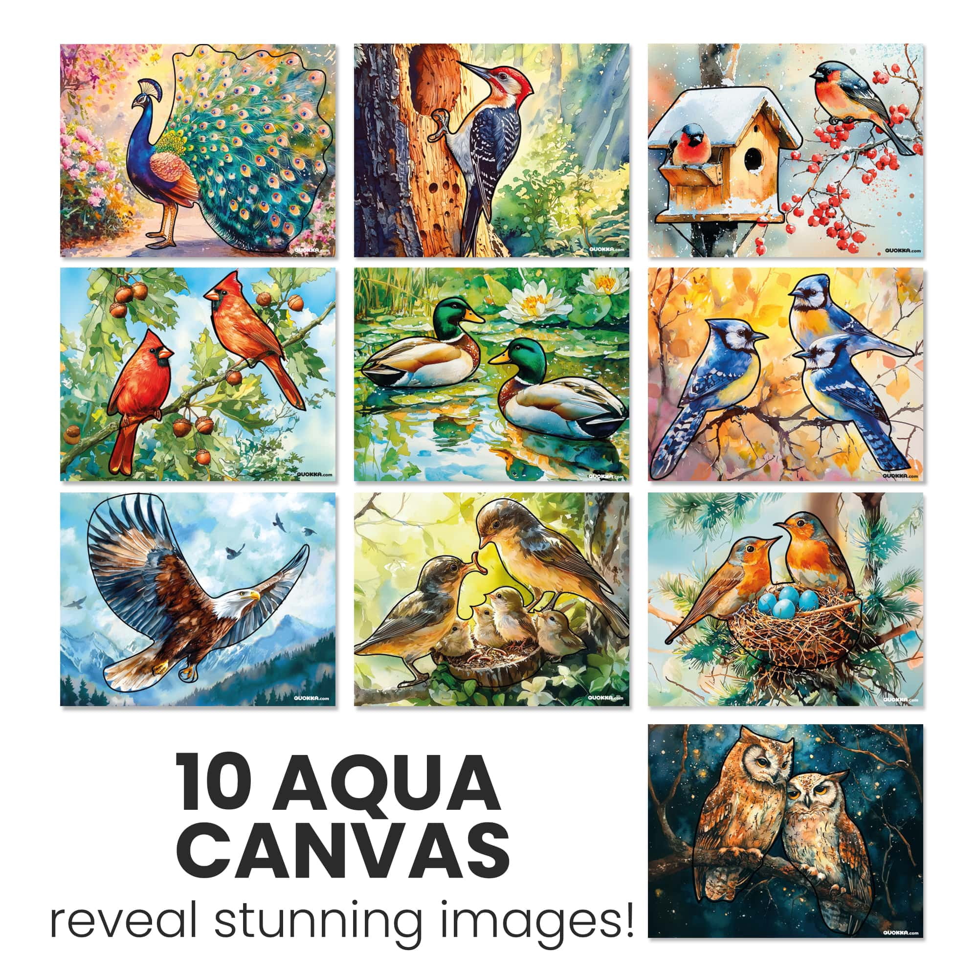 Quokka Water Painting Kits - Alzheimers Activities & Dementia for Seniors - 10Pack Songbird Serenity