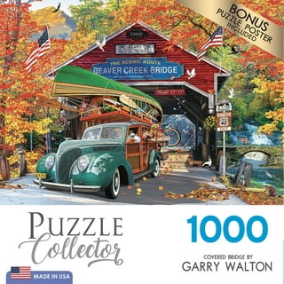 Roseart Colorluxe 1000 Piece Old Ad Signs, Road Signs and Vehicle License  Plates on Route 66 Jigsaw Puzzle 