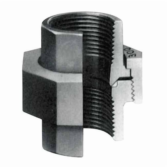 Anvil Union Union, 1/4" Pipe, FNPT, Malleable Iron, Class 300 0312822620